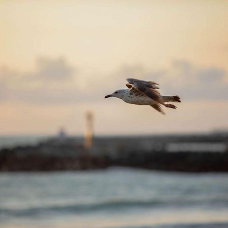 Ibis Budget Ciboure St-Jean-Luz Kültér fotó